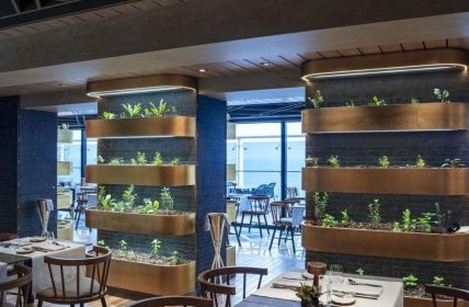 MSC Cruises stellt flexible Sommerrouten 2026 mit Rundum-Sorglos-Paketen (Foto: MSC Rights)